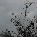 IMG_3906