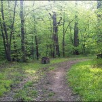 trail