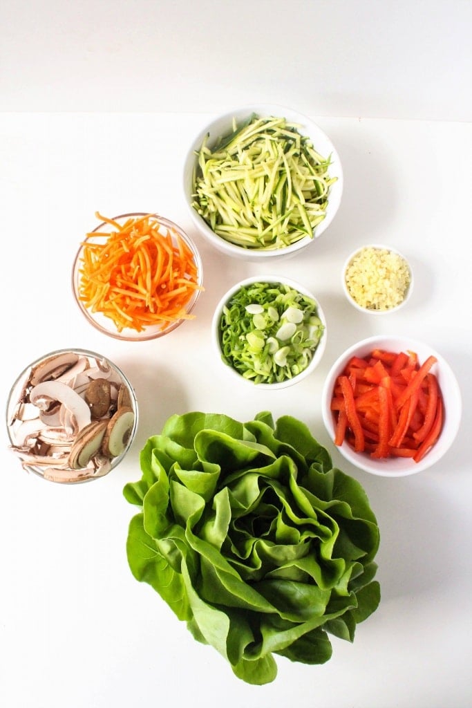 Healthy Lettuce Wrap Recipes - veggies