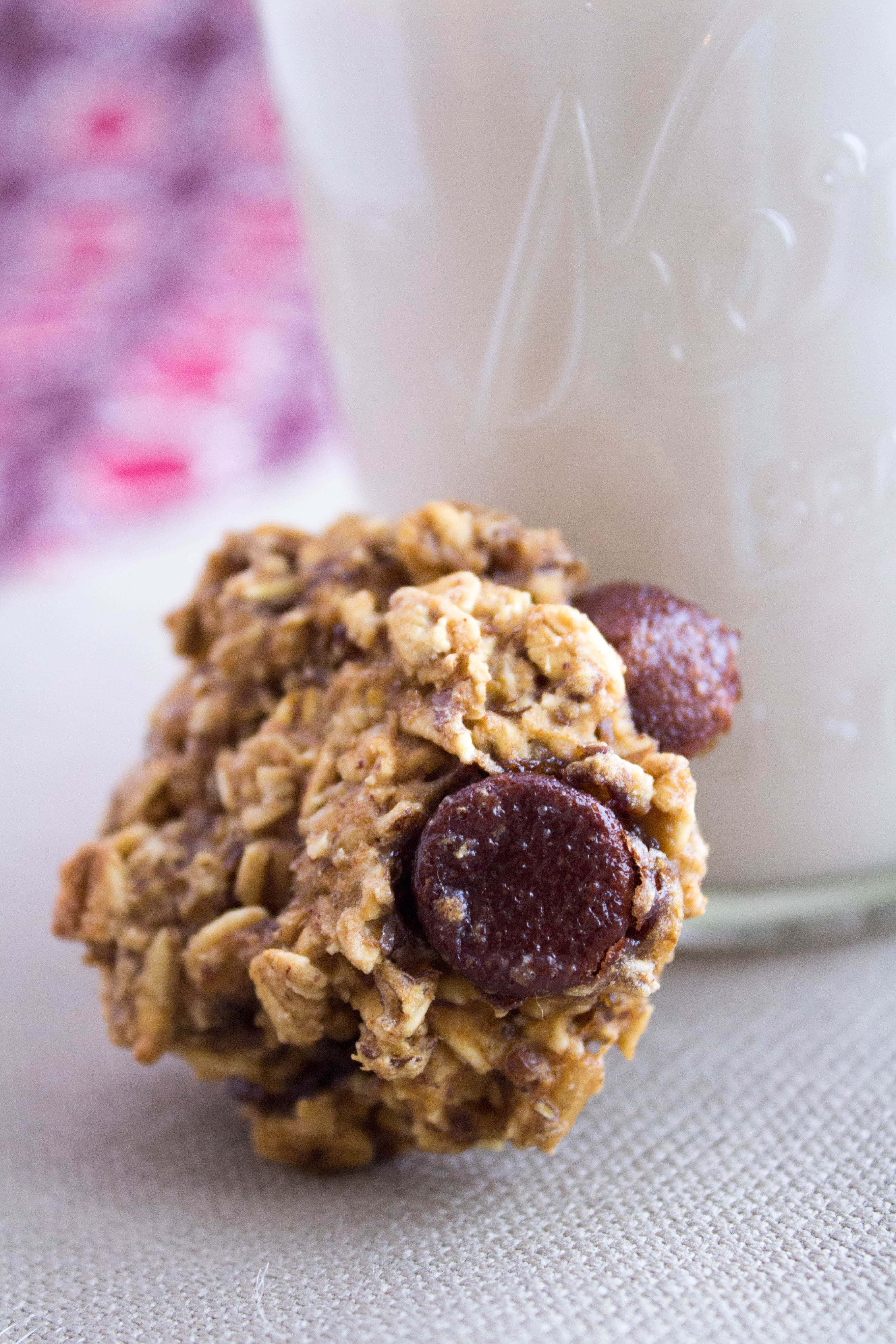 Oatmeal Dark Chocolate Cookies Recipe
