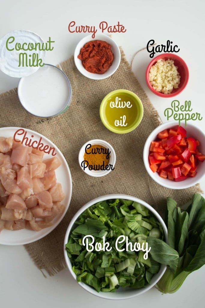 easy coconut curry ingredients