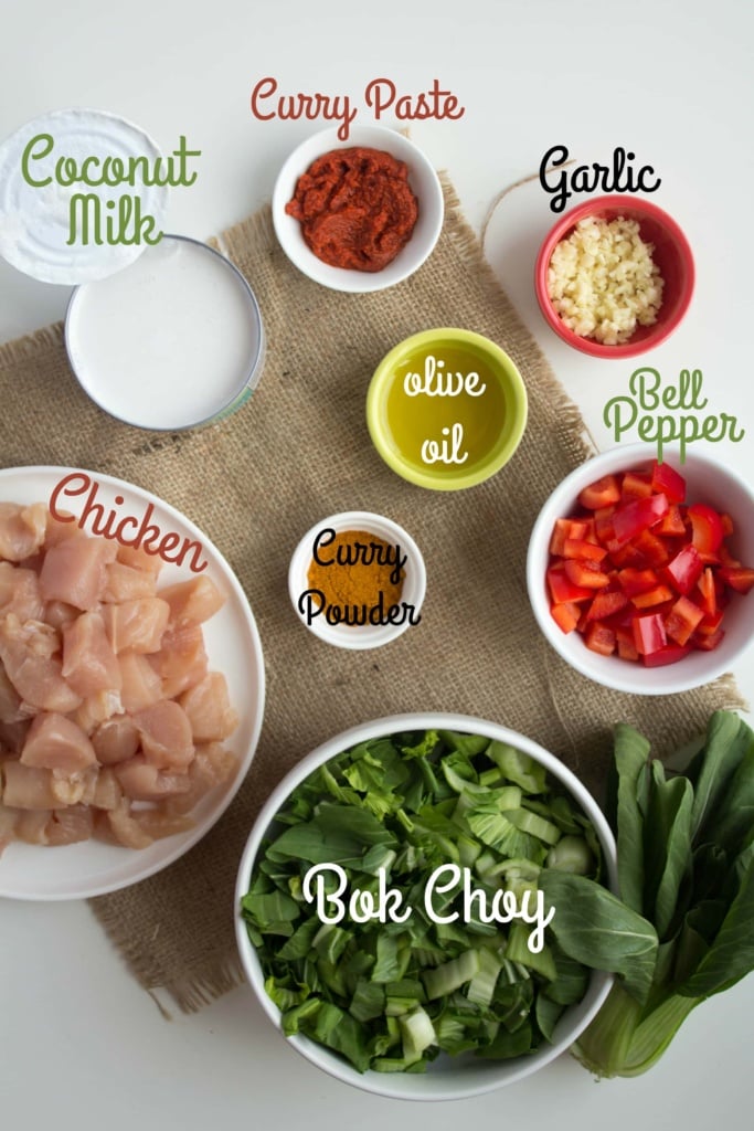 easy coconut milk chicken curry ingredients