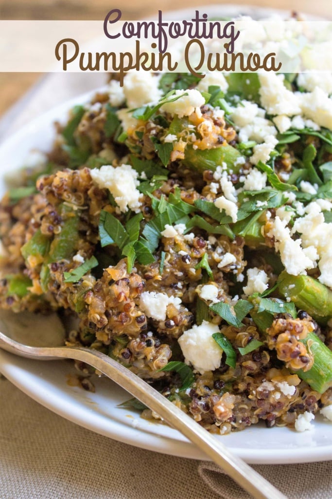 comforting pumpkin quinoa salad