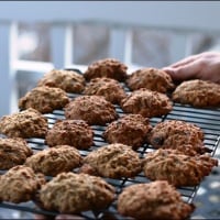 oatmeal dark chocolate chip cookies