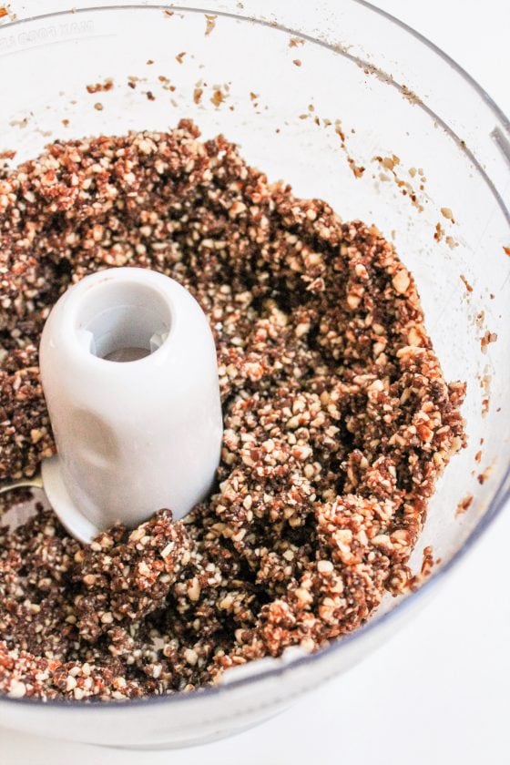 No Bake Chocolate Coconut Date Balls Snack Recipe