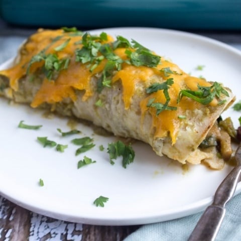 Sweet Potato Black Bean Enchiladas