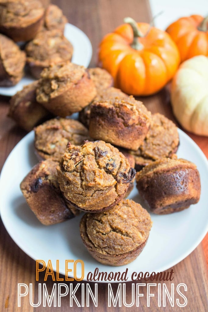 gluten free pumpkin muffins on a plate with mini pumpkins in the background