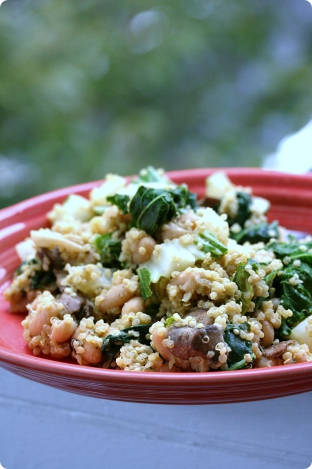 Quinoa 101: How To Cook Quinoa + Quinoa Recipes | fANNEtastic food