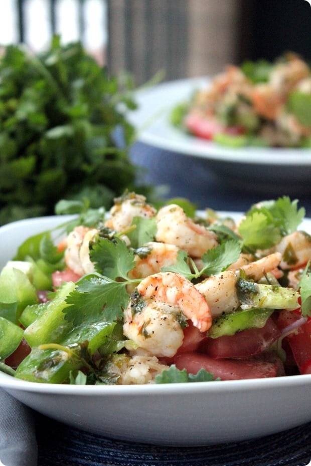 cilantro chimichurri shrimp salad bowls