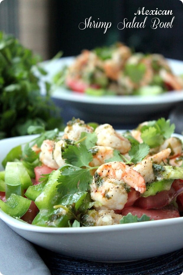 Shrimp Salad with Cilantro Chimichurri Sauce