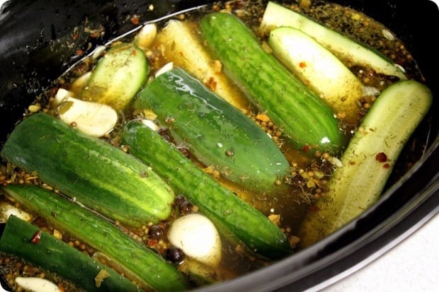 how to pickle cucumbers quickly