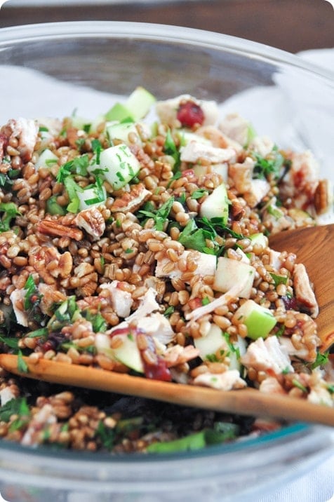 leftover turkey salad recipe with cranberry vinaigrette