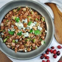 Cranberry Turkey Salad with Wheat Berries