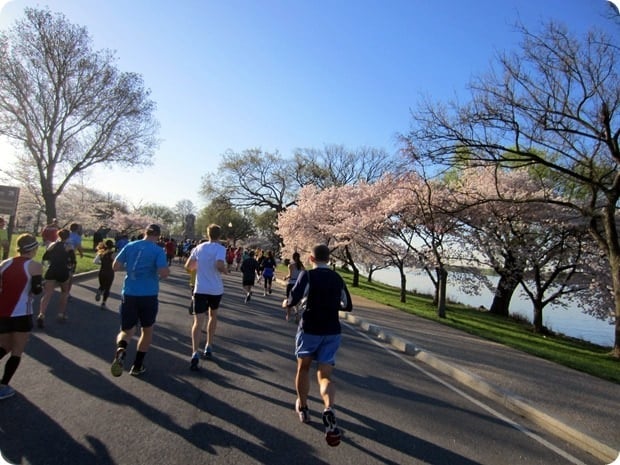cherry blossom 10 miler 2015