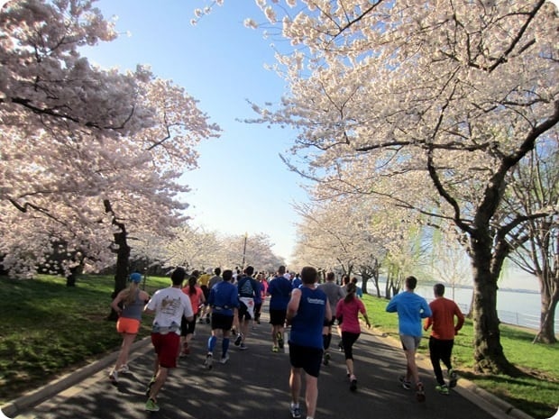 cherry blossom 10 miler 2015