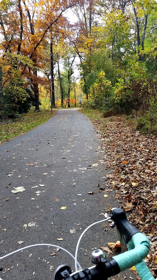 biking the w&od trail from arlington