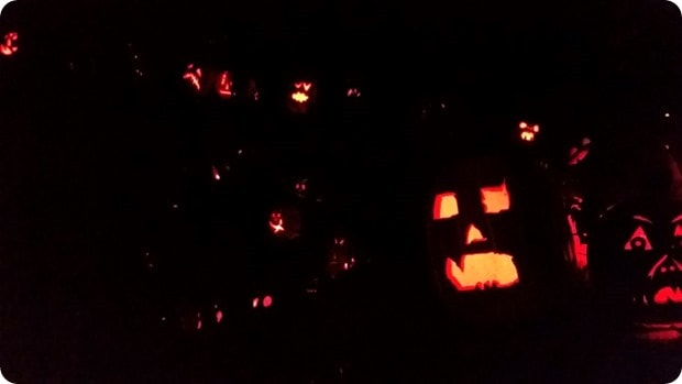 markoffs haunted forest