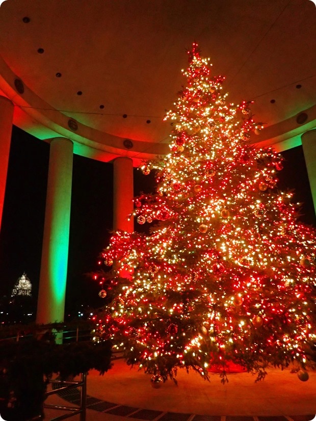canadian embassy christmas tree