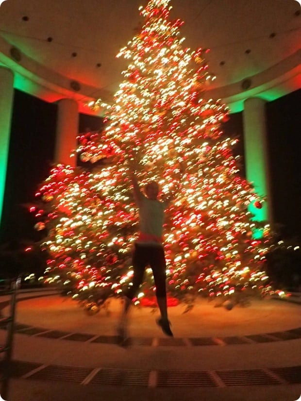 canadian embassy christmas tree