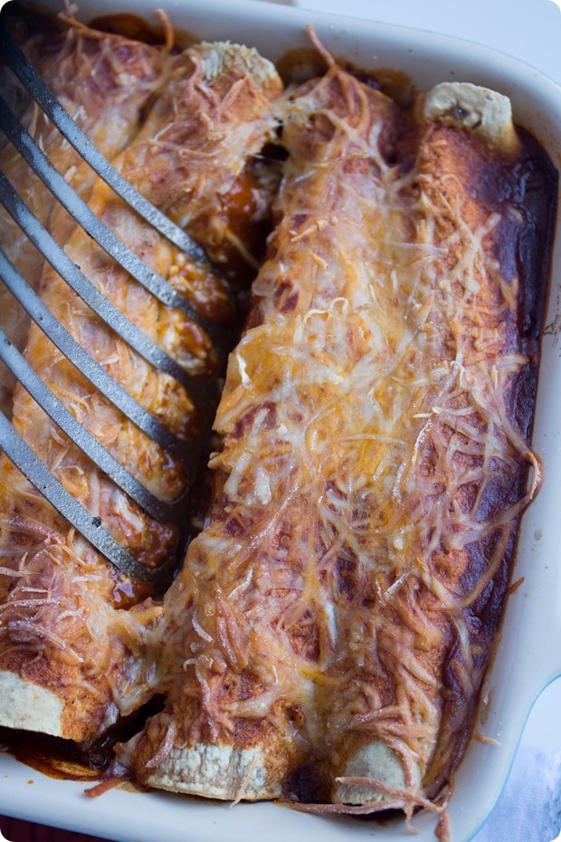 meatless enchiladas