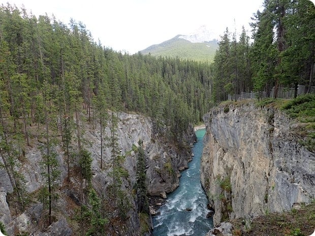 athabasca falls hike