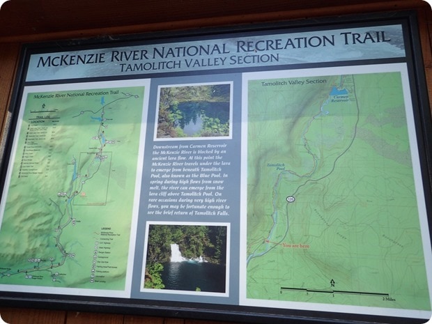 mckenzie river trail hiking