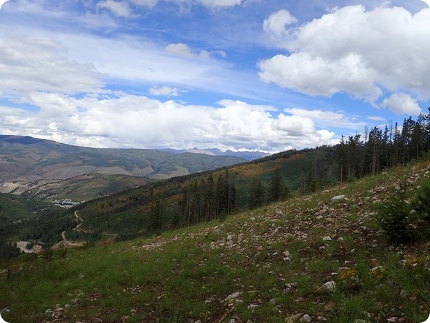 royal elk trail views