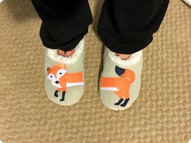 fox sock slippers