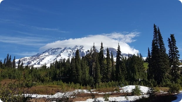 view of mt rainier from paradise
