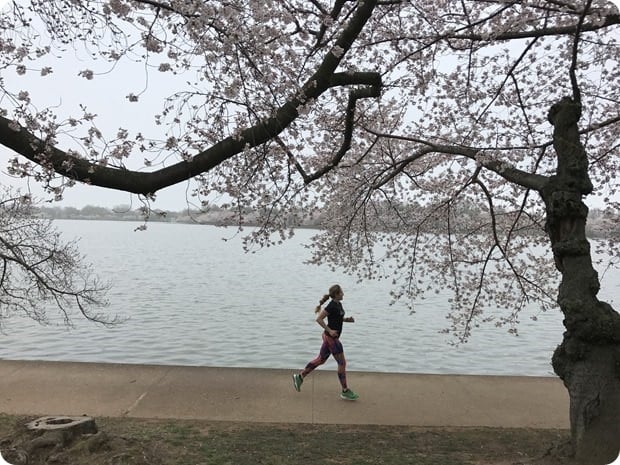 dc cherry blossom run