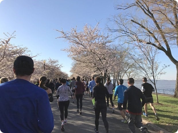 cherry blossom 10 miler 2017