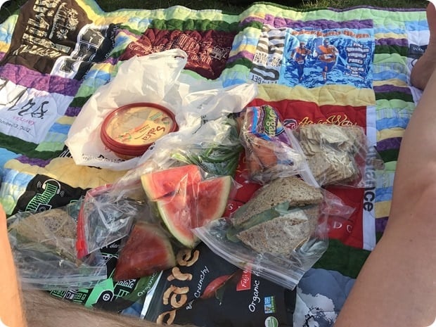 healthy picnic snacks