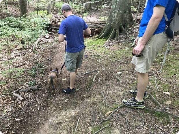 hiking at scott's run with a dog