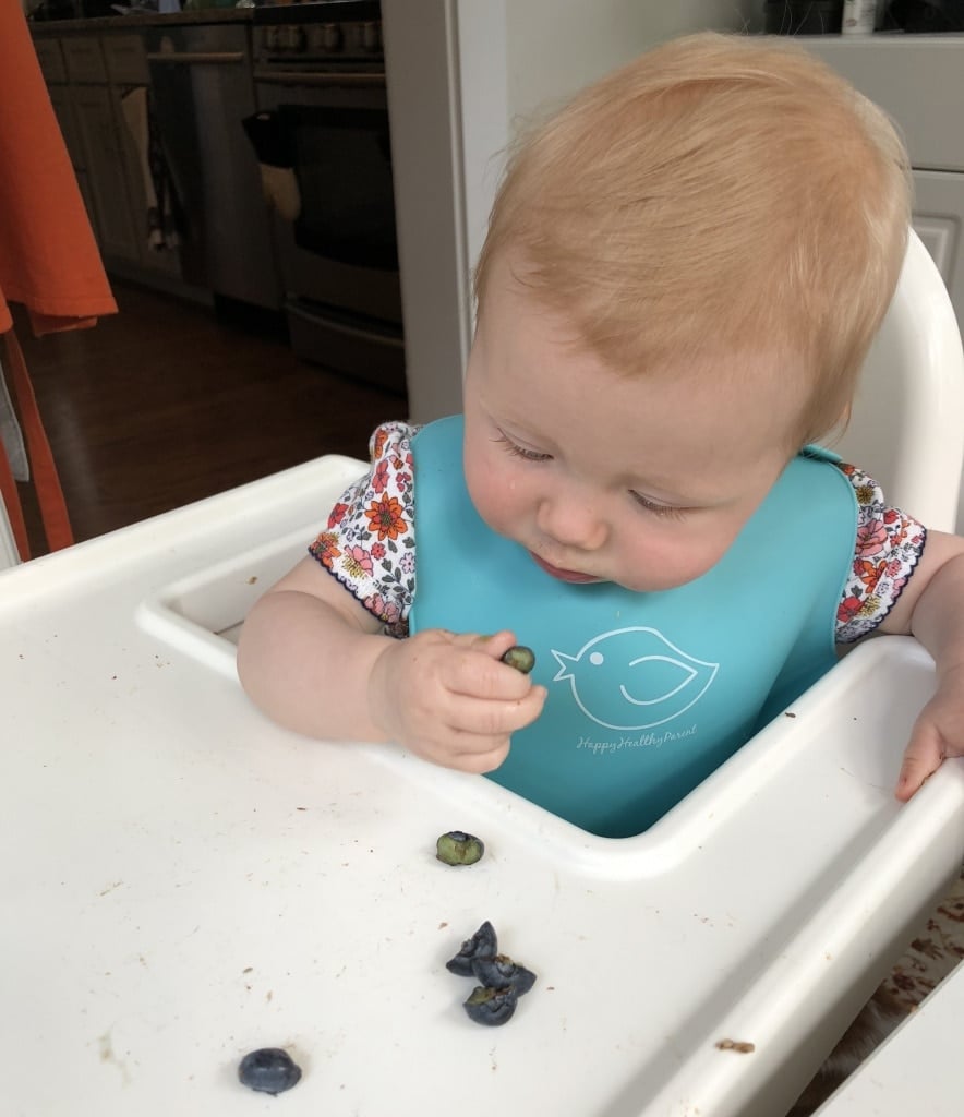 baby led weaning blueberries