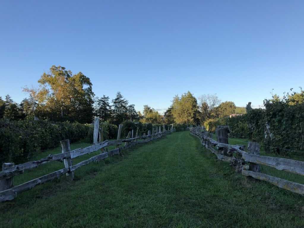 wisteria farm and vineyard