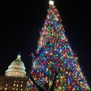christmas tree light run around DC