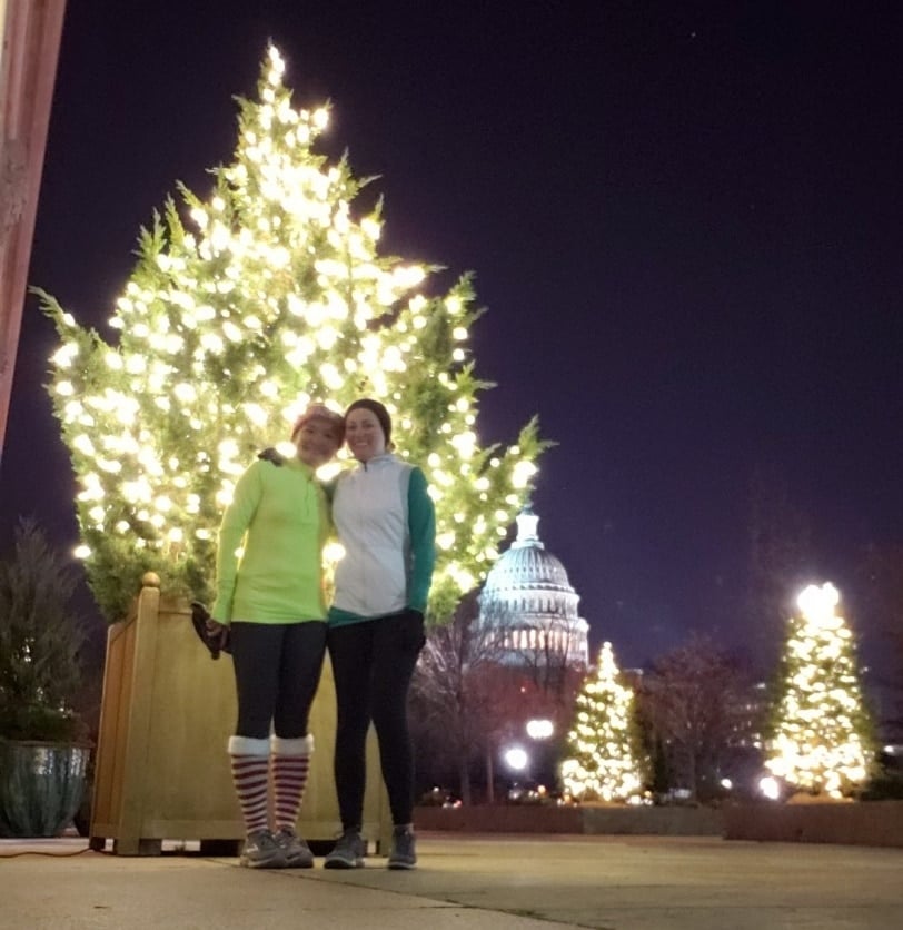 how to run the dc christmas trees