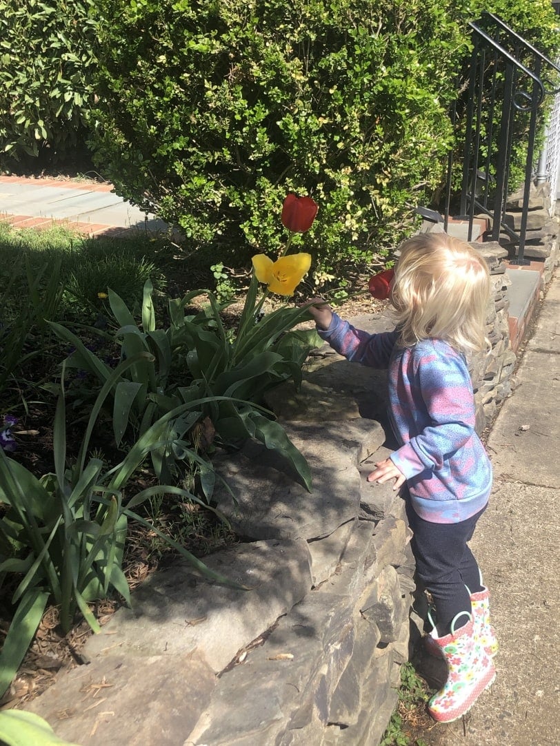 toddler smelling flowers