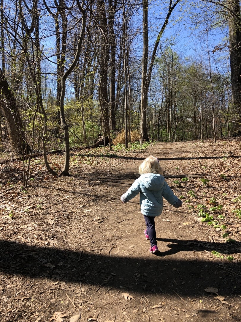 toddler hiking in the woods