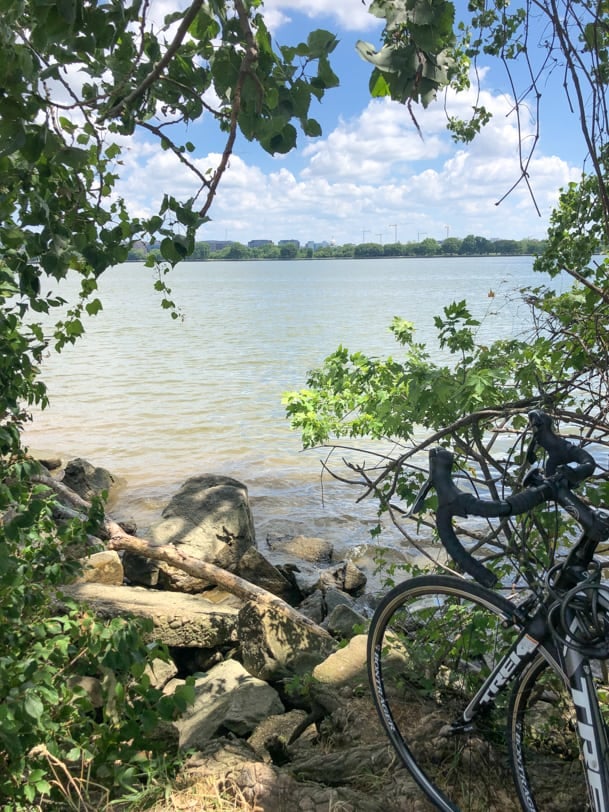 view of the potomac river from gravely point