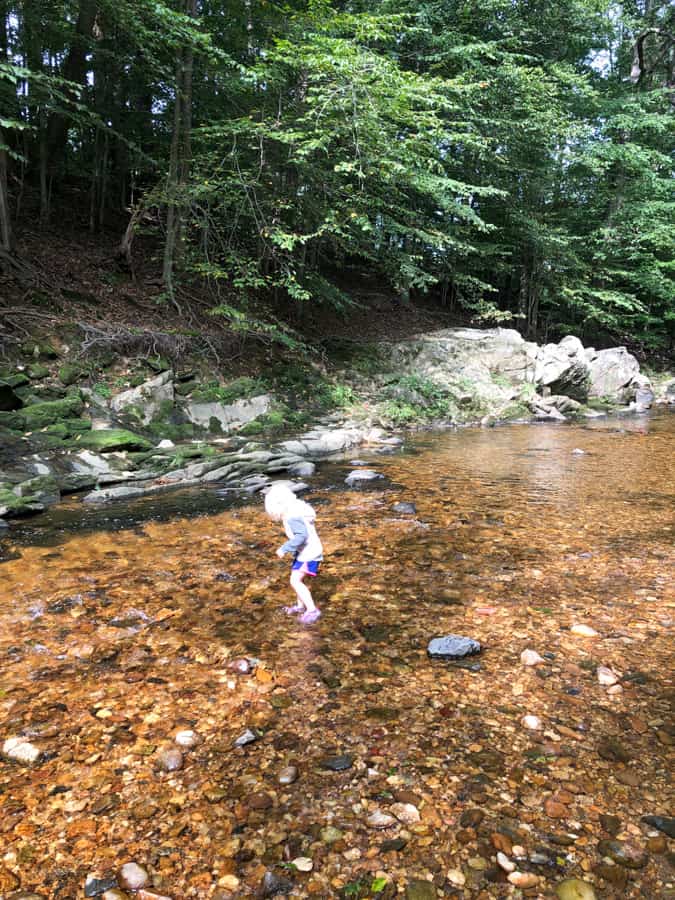 wading in a stream