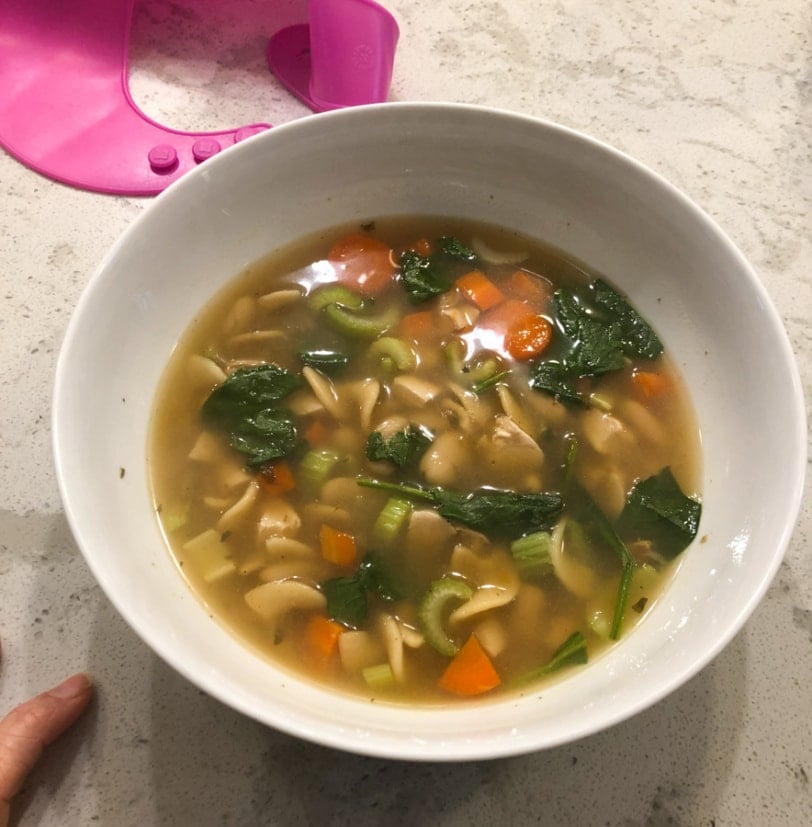 chicken veggie noodle soup