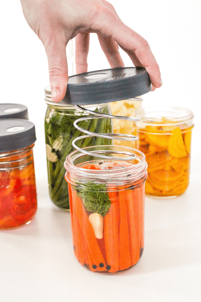 lacto-fermentation equipment - mason jars, springs, and airlock lids