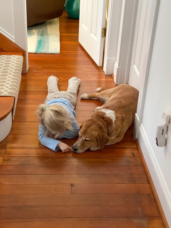 toddler and dog on the floor together