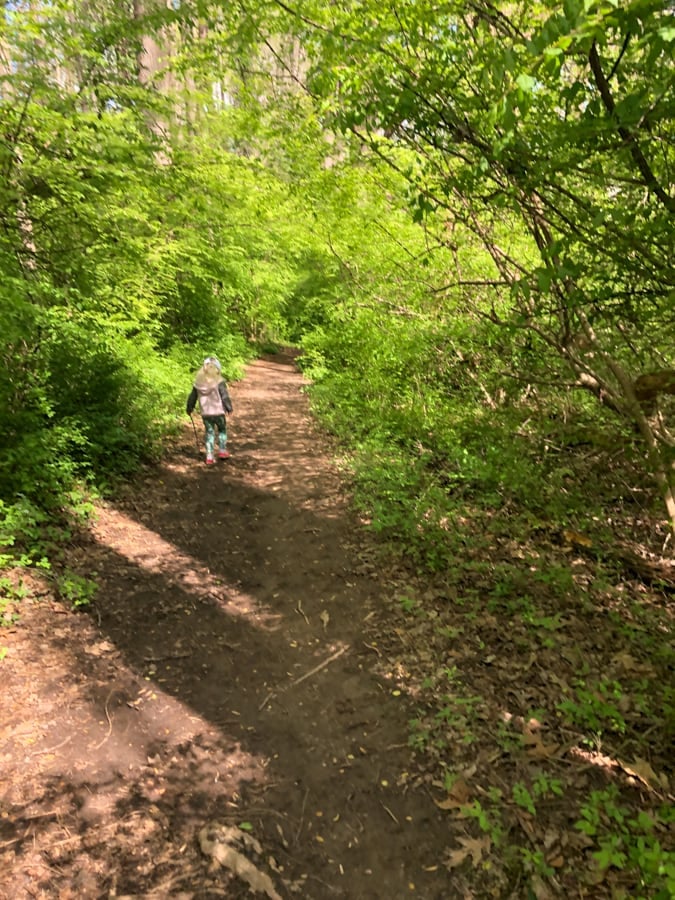 toddler hiking on a trail in the woods