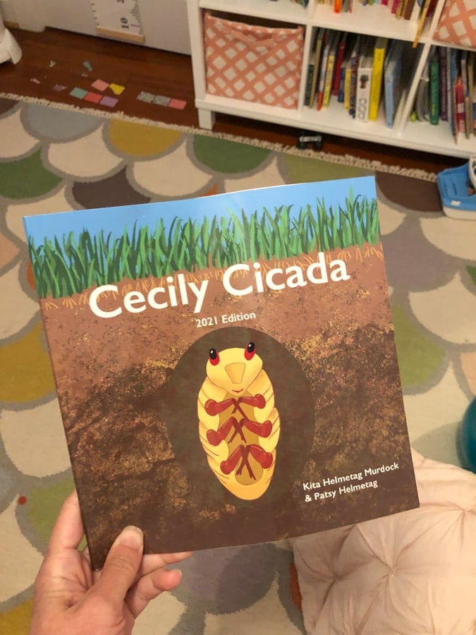 cicada book for toddlers