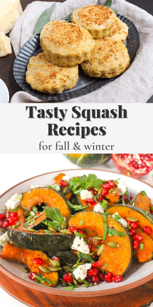 tasty squash recipes for fall and winter