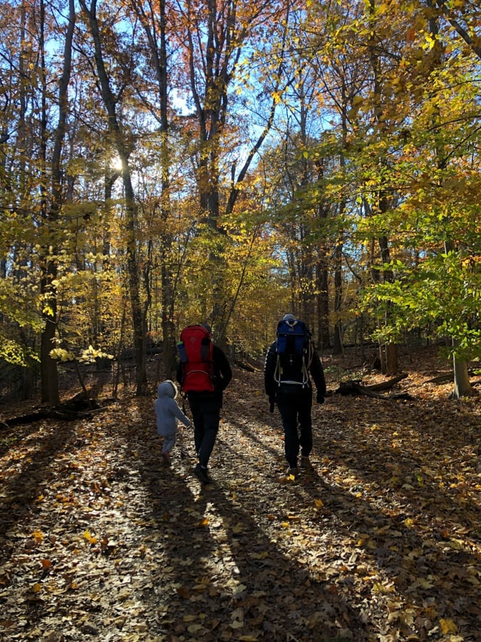 hiking in the woods in fall