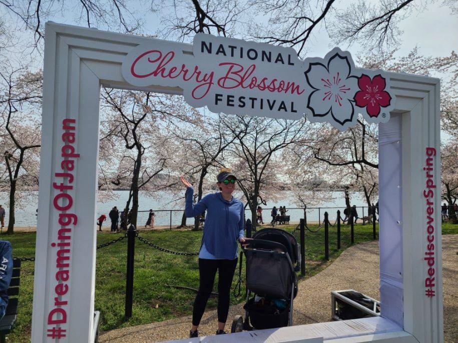 cherry blossom festival sign