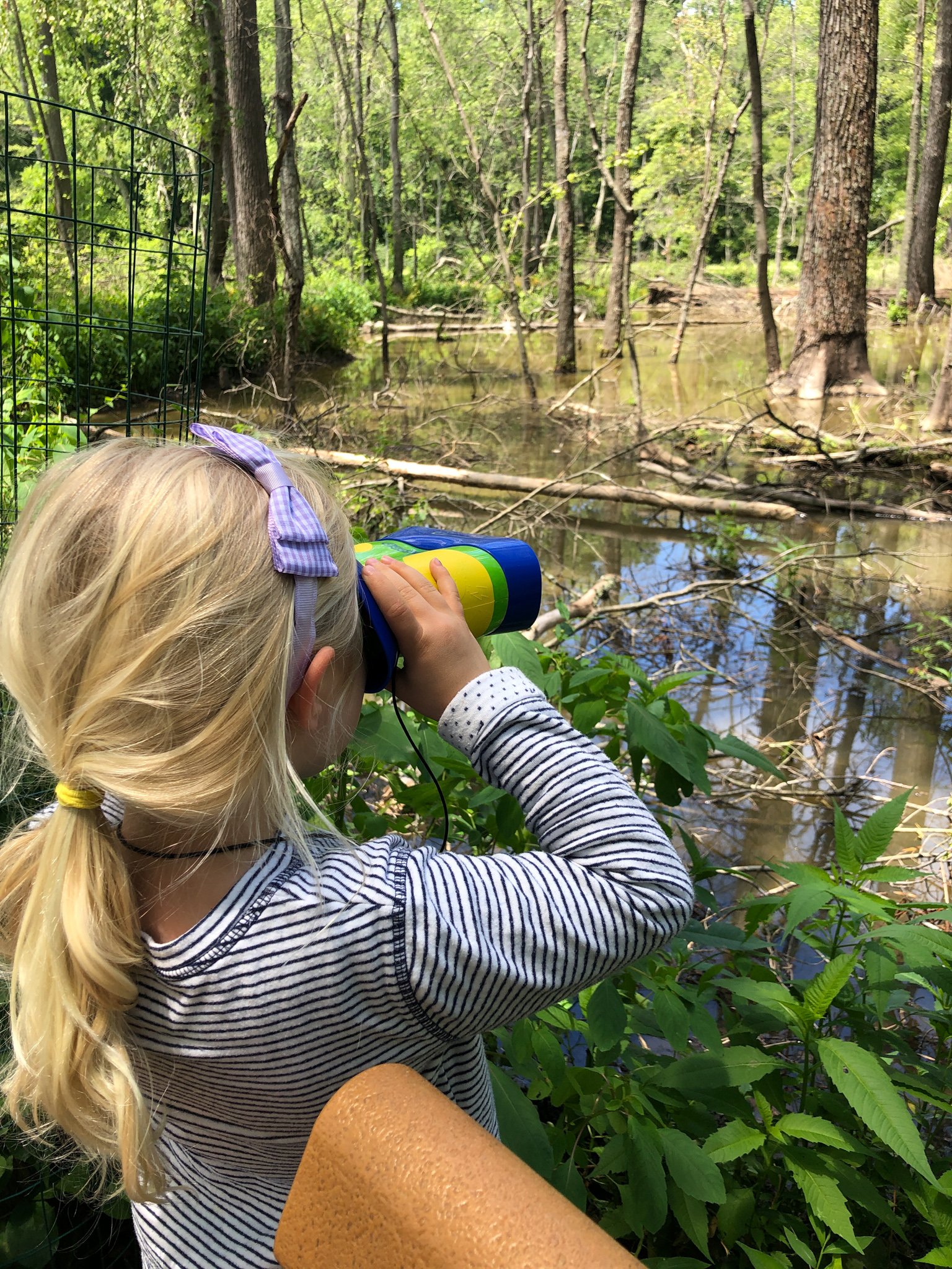 kid looking at turtles through binoculars